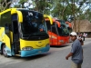 irizar-buses-at-pyramids